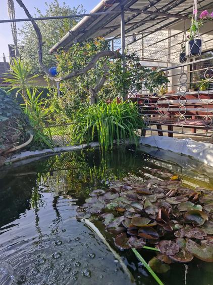 Casa de vanzare la Insula Mures (Zona 3 Insule), Arad - 3