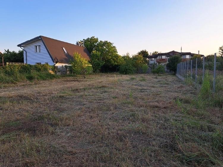 Teren intravilan Buftea, Cartier Flamanzeni, Intrarea Teilor nr. 36 - 6