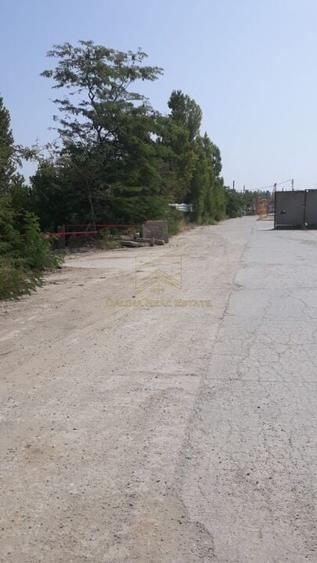 Spre Vanzare - Teren Intravilan - Vitanul Nou - Palady - 1