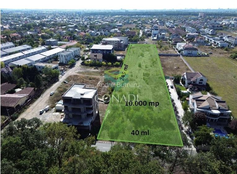 Teren - Voluntari - vis a vis de Padure - 10.000 mp