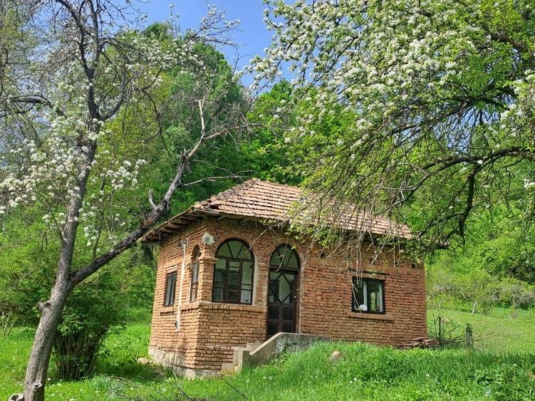 VÂND UN VIS: Casă de vacanță + 3.700 mp teren pe deal - 1