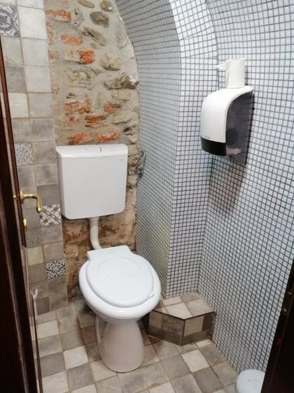 Spatiu comercial de inchiriat | Piata Mica | Central - 15