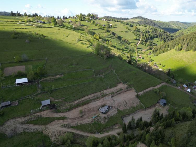 Teren de vanzare, Muntele Bocului Baisoara ,teren1000 mp - 2