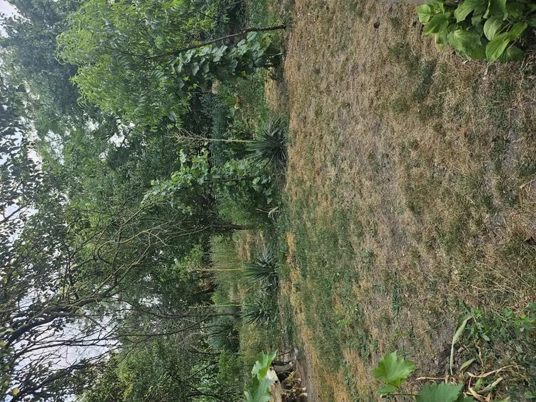 Casa de vanzare + teren ieftina - 6