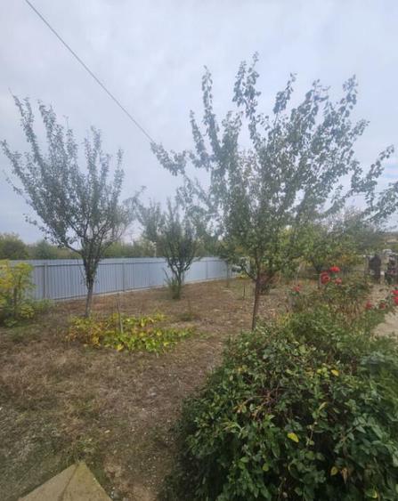 CASA P+M , 150 mp, TEREN 3000 MP ,FILIASI( FRATOSTITA) , COM - 7