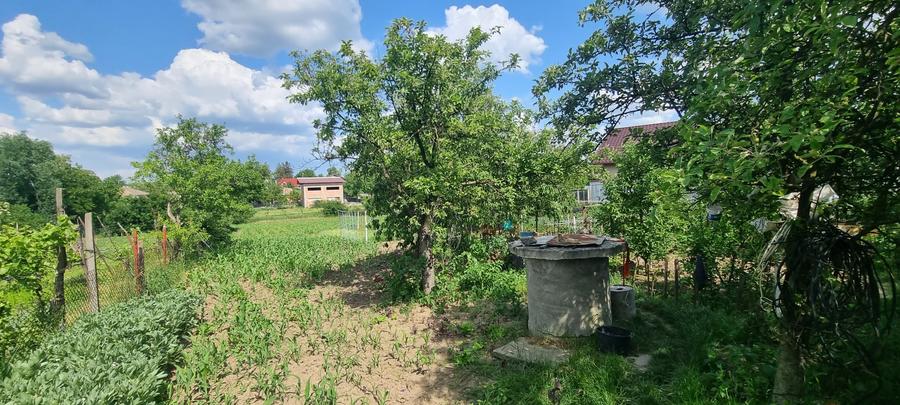 Casa renovata cu 2857mp teren Liceul Pedagogic - 14