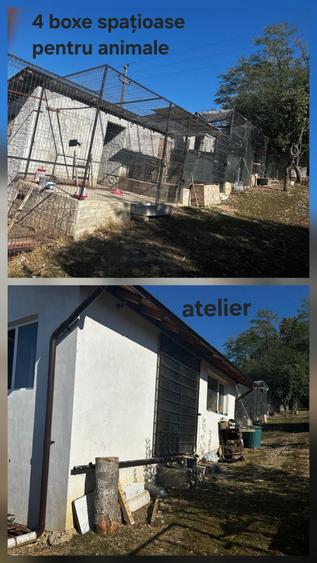 Casă cu 4 camere în Albota