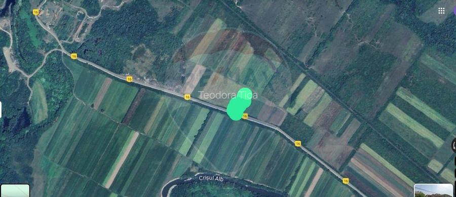 Teren extravilan 25.936 mp intre Barsa si Sebis Teren extravilan 25.936 mp intre Barsa si Sebis