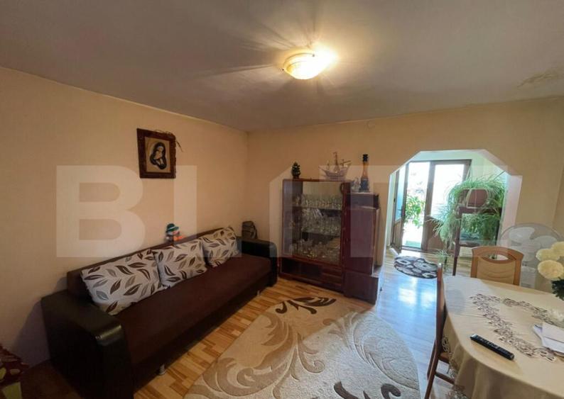 Casa solida pe Bld. Ecaterina Teodoroiu Targu Jiu - 12