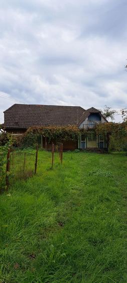 Vand teren + casa batraneasca + ?ura + anexe in Ocoli?, jud. Maramure? - 4