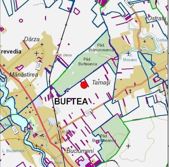 Teren intravilan 2000 mp Buftea langa padure puz cartier case vecin - 3