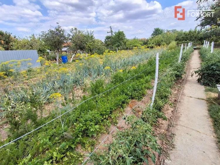 COMISION 0% - Casa individuala cu teren 1259 mp - Recas - 3