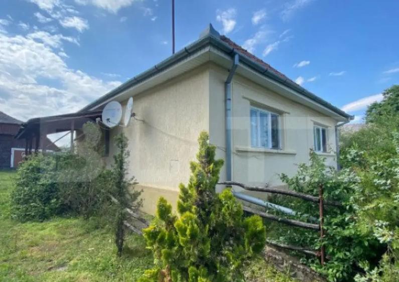 Casa de vanzare, 2 camere, 80 mp, zona Marius, langa Valea - 3