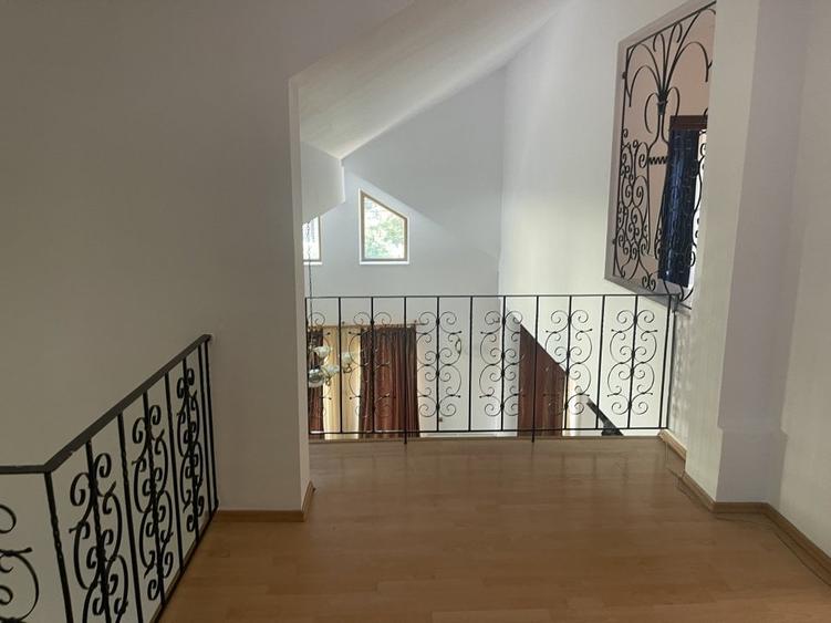 Vila individuala 7 camere de vanzare/inchiriere Iancu Nicolae - 7