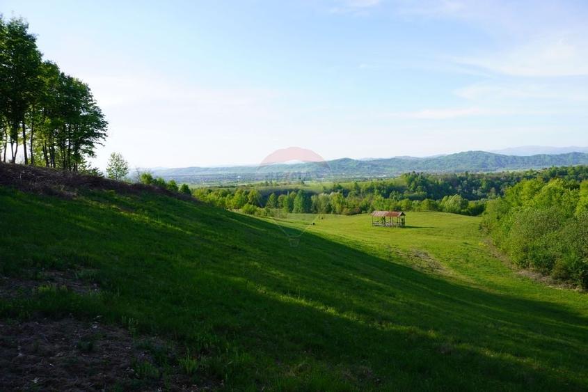 Teren 15,000mp Sighetu Marmatiei / Strada Mocăniței - 5