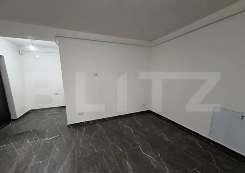 Spatiu comercial, 32 mp utili, cartier Lisaura - 1