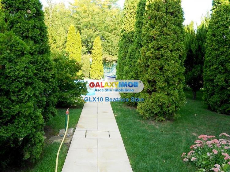 Vila splendida, o reala oaza de liniste intre lacul si padurea SNAGOV - 6