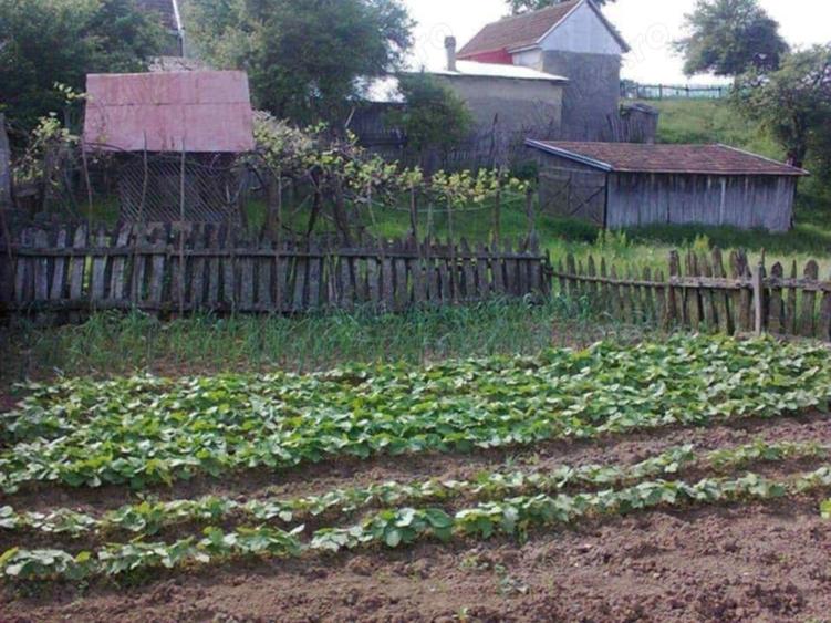 Casa de vanzare ?opotul Nou - 2