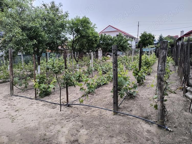 Casa de vanzare Craiova cart.Facai - 1