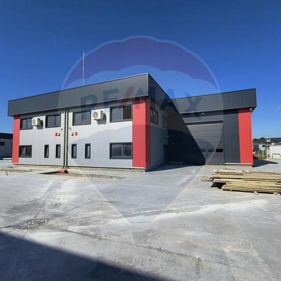 Hale noi de inchiriat Domnesti - putere instalata pana la 600kva - 1