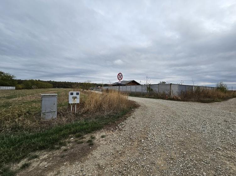 SNAGOV  TANCABESTI - 5