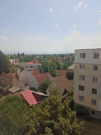 De vânzare apartament cu 3 camere în Sfântu Gheorghe - 13