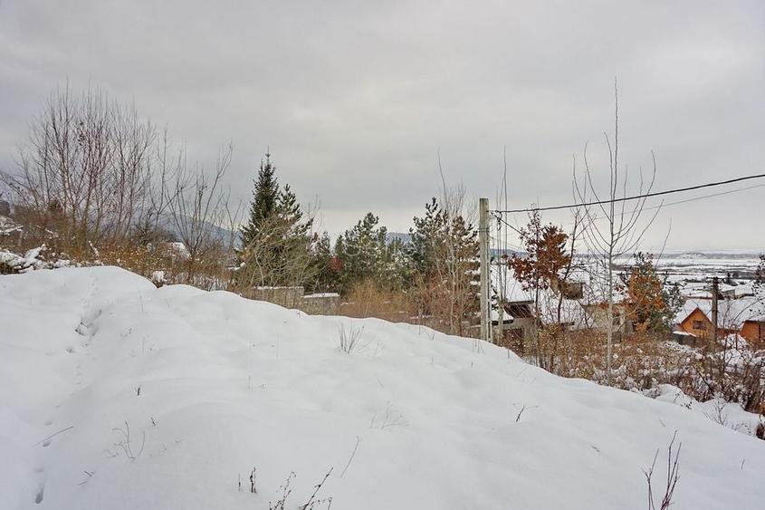 Teren Intravilan - Pretabil Dezvoltare Rezidentiala - 8