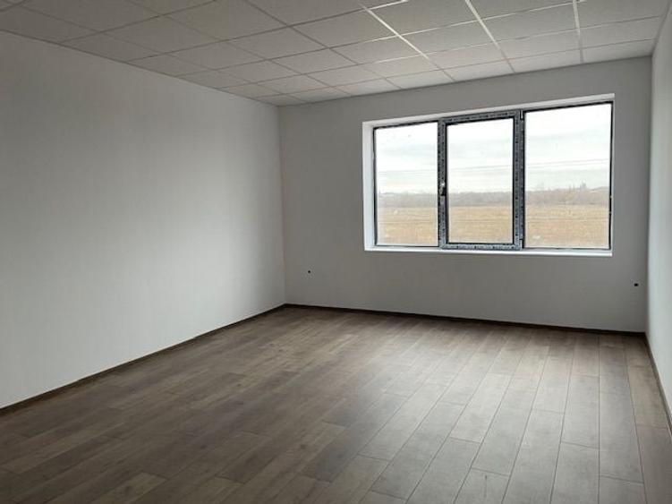 Spatiu depozitare si productie Soseaua de centrua Chitila - 11