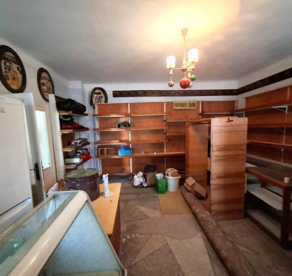 Vila interbelica de excep?ie utilizare mixta Ultracentral Odobe?ti - 4