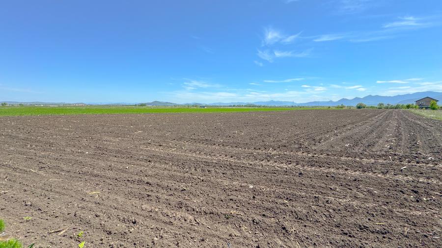 Teren intravilan, 1.7 hectare, Stupini Strada Barsei - 10