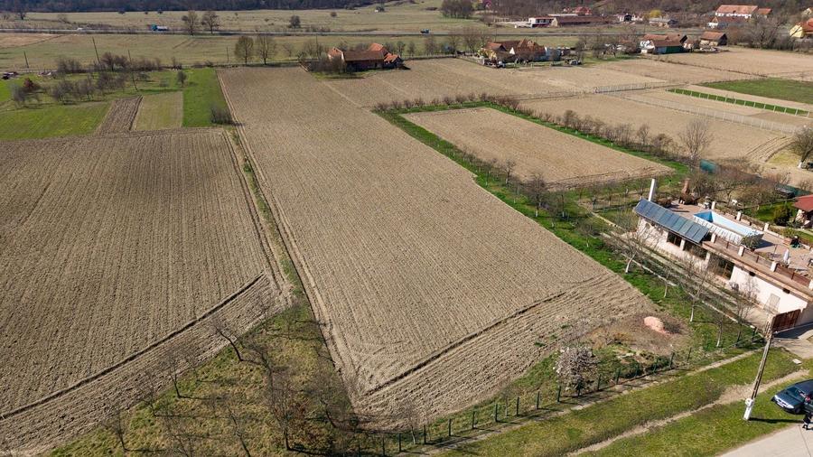 Loc de casă în Odvoș - Conop 3000mp - 2