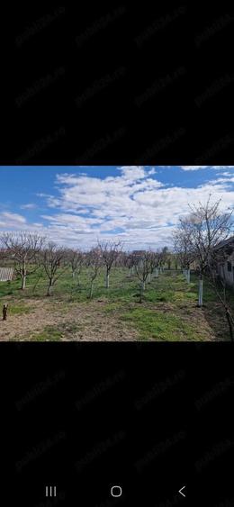 De vanzare proprietate in Com Madaras sat Ianosda - 8