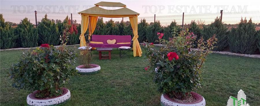 VILA TURISTICA SUPERBA COSTINESTI - 15