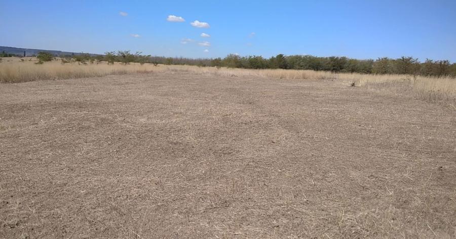 URGENT Teren zona Capsunarie Damila Selgros Strada LAMAITEI - 1