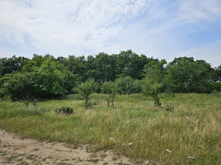 3000 m2 plasat exceptional, vest de Voluntari - 8