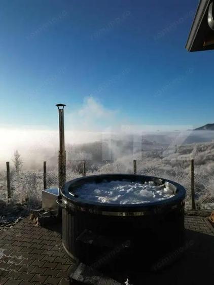 Cabana de vanzare oportunitate de business / casa de vacan?a Transapuseana - 11