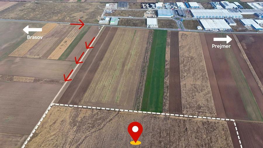 Teren Strategic 32.5 Ha | Direct la Nod Autostrada Brasov-Bacau | Ideal Logistic - 4