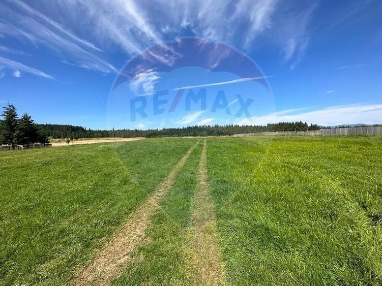 Teren Construcții intravilan de 30930 mp, în Poiana Stampei