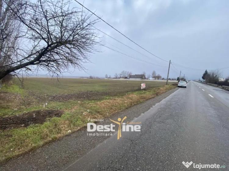 Teren de vanzare Girov- Doina 7200MP 140000 - 4