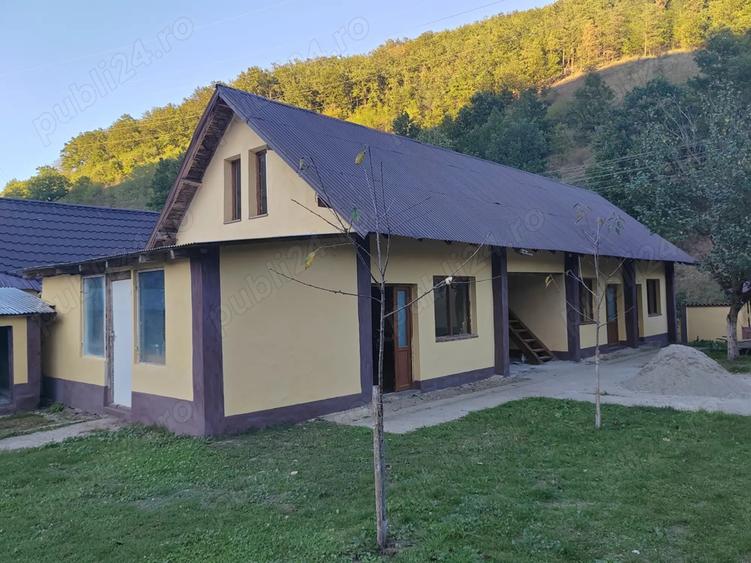 Gospodarie langa Deva - 9