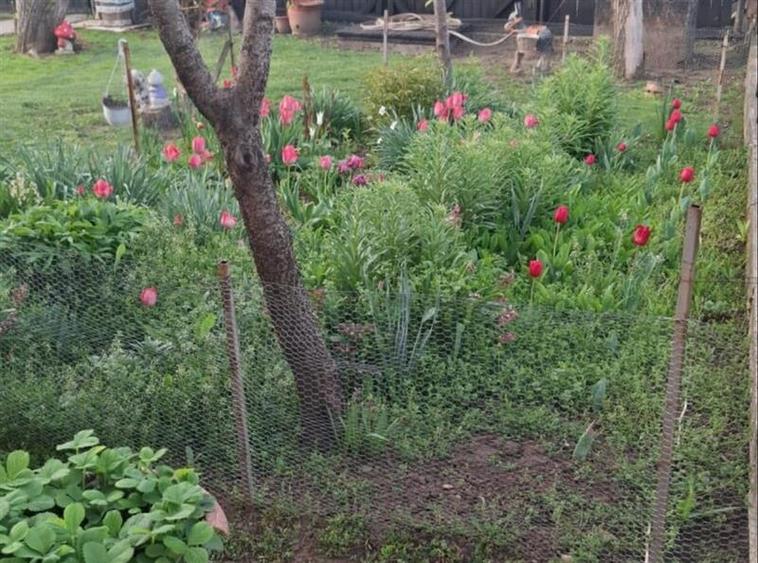 Casă individuală cu 3 camere cu Garaj în Lipănești