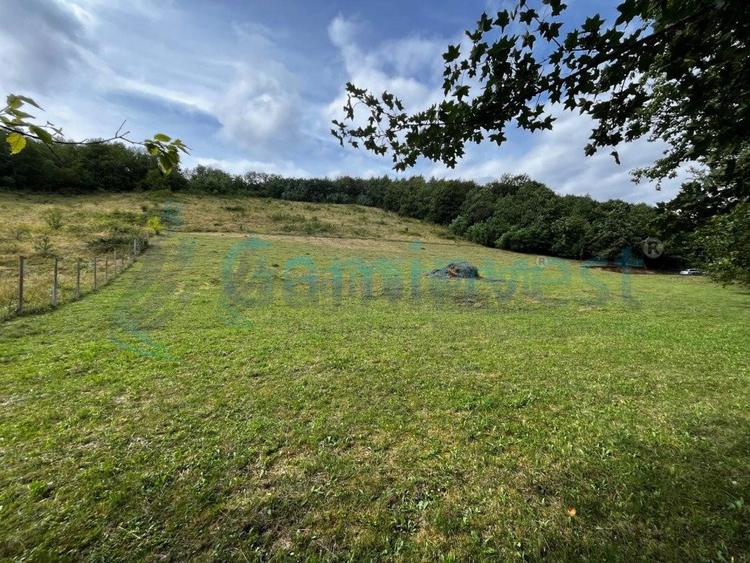 Teren agricol extravilan de 13500 mp, în Aștileu