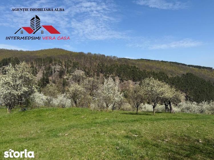 Teren de 13698 mp, în Vințu de Jos