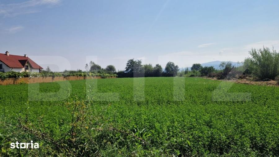Teren intravilan de vanzare, 3800 mp, zona Vest - 2