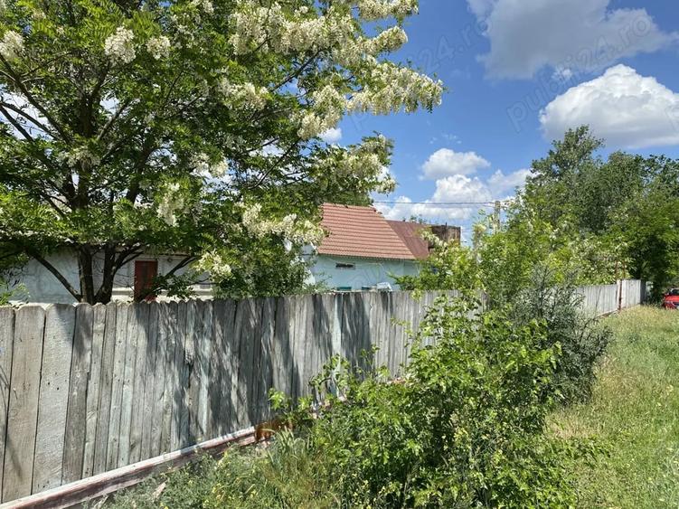 Casă cu Teren 1030 Mp în Ograda