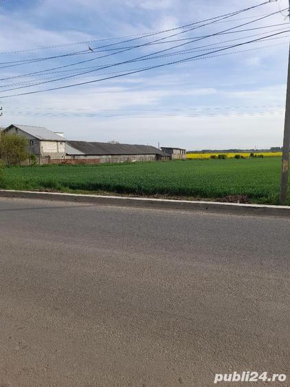 Teren de 5000 mp, în Central