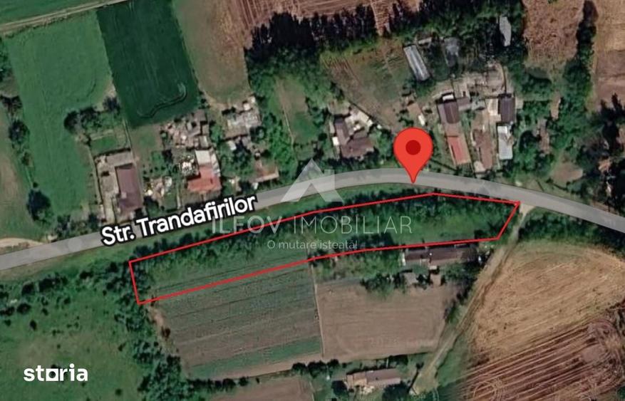 Teren de 3100 mp, în Nuci