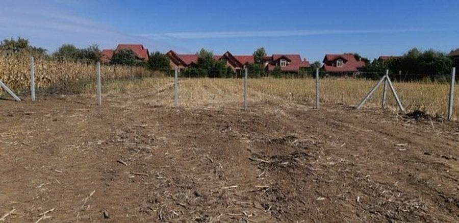 Teren Construcții intravilan de 980 mp, în Corbeanca - 5