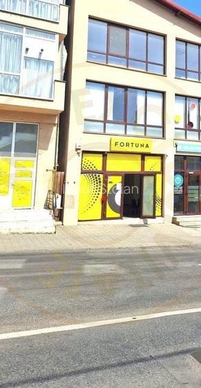 Spatiu Stradal Cu Vad Format Banat- Razboieni