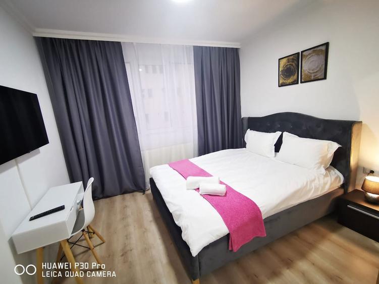 Garsoniera in zona Lipovei cocheta 250 euro - 7